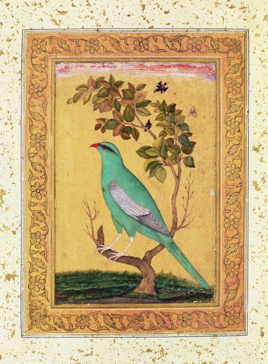 Zöld Madár, Mogul alkotó: Indian School