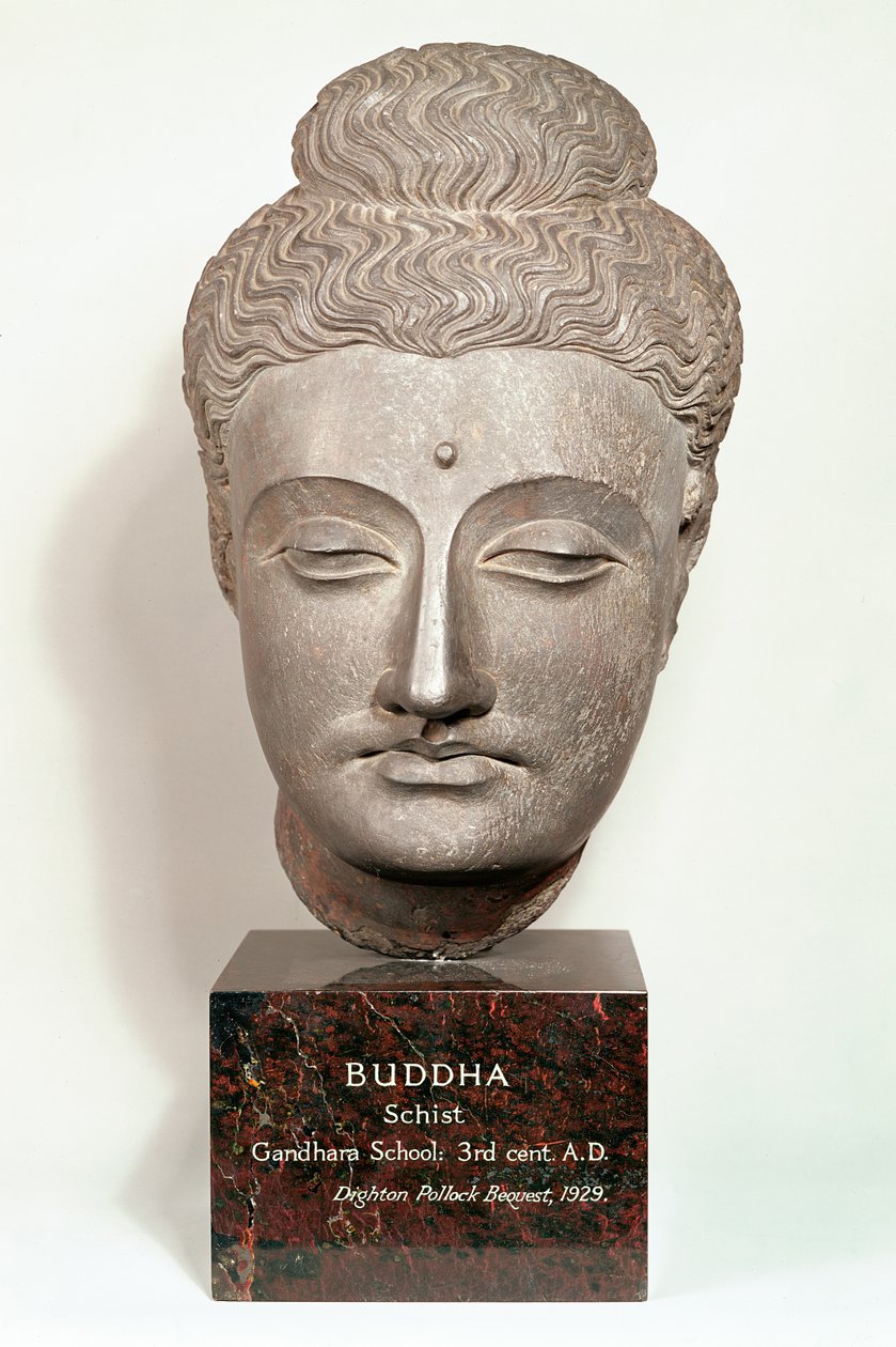 Fej a Buddha-szoborról, Gandharából, Északnyugat-Indiából (szürke pala) alkotó: Indian School