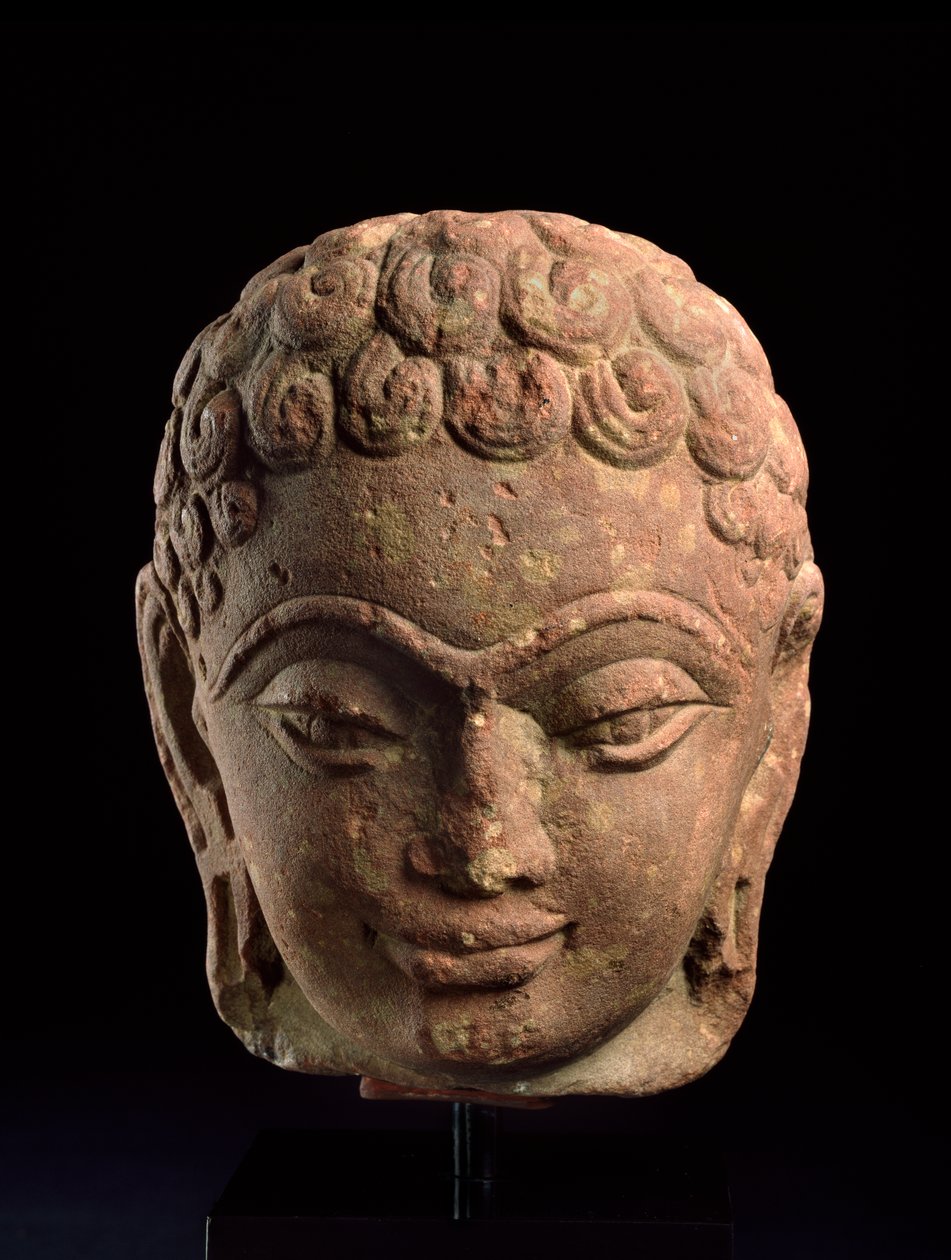 Egy dzsain tirthankara feje, Mathura régió, Kushan-korszak, Kr.u. 3-4. század (homokkő) alkotó: Indian School