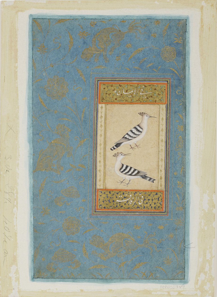 Hoopoes, 1590 körül (átlátszatlan wc és arany papíron) alkotó: Indian School