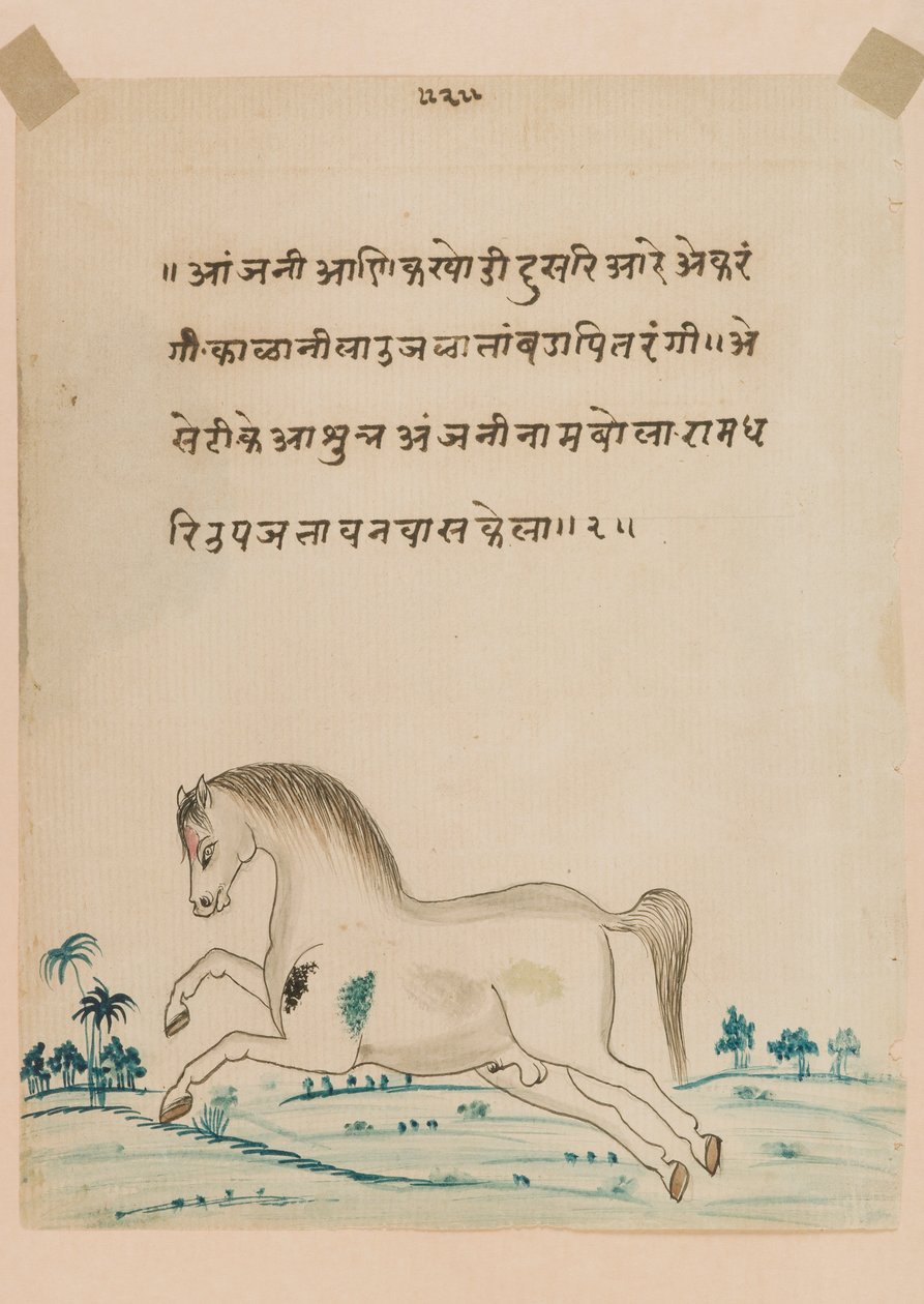 Ló (papíron átlátszatlan wc) alkotó: Indian School