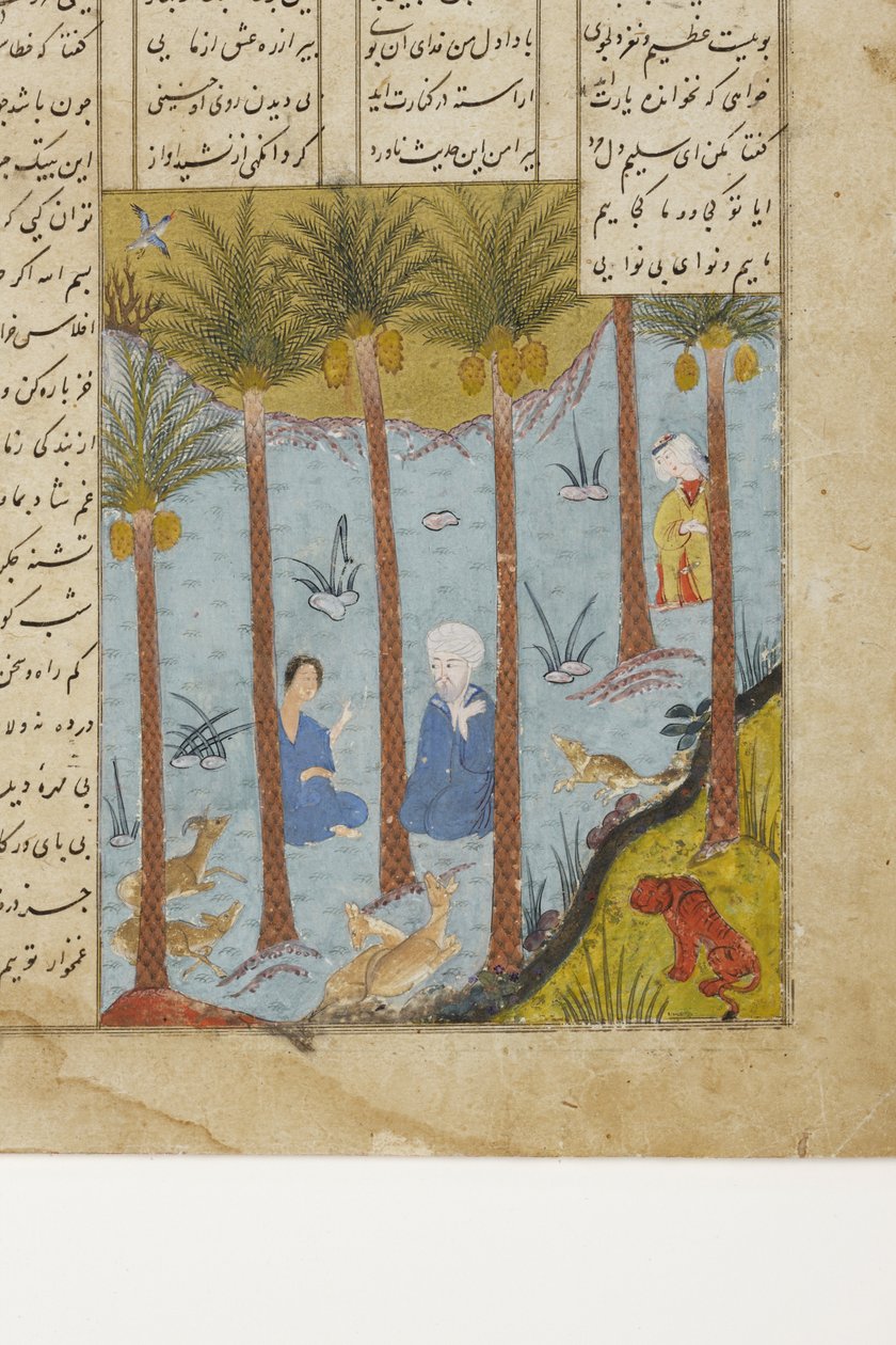 Laila meglátogatja Majnunt egy pálmaligetben, 1475 körül (átlátszatlan wc és arany a papíron) alkotó: Indian School