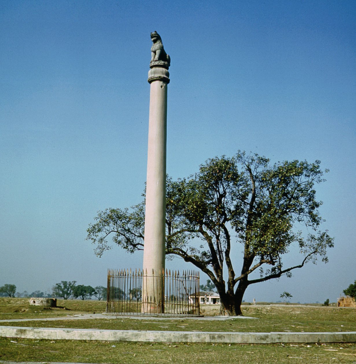 Ashoka császár oroszlánoszlopa (i.e. 264-223 körül) alkotó: Indian School
