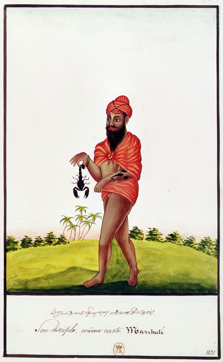 Ms Indien 743 Skorpiócsípés elleni gyógymódok eladója, 1831 alkotó: Indian School