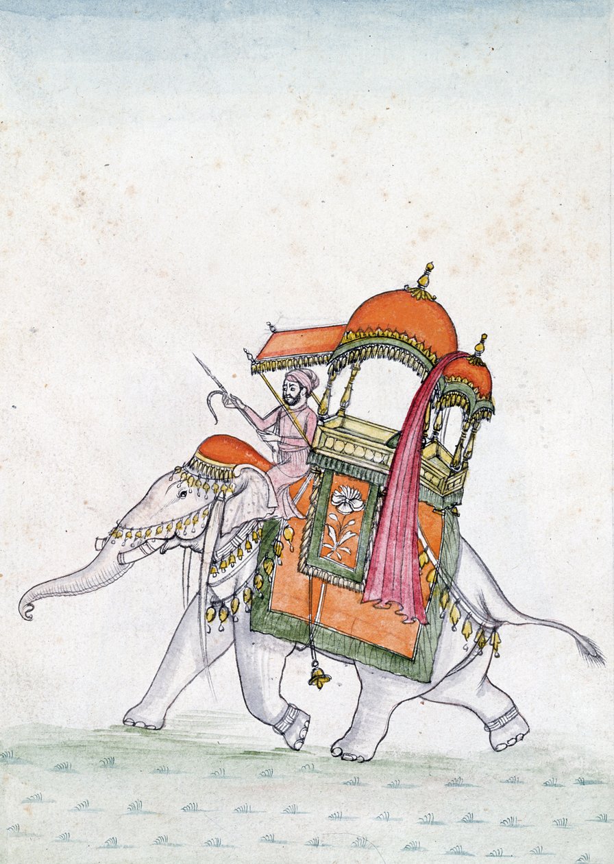 Egy elefánton lovagló férfi portréja, 19. század eleje (wc papíron) alkotó: Indian School
