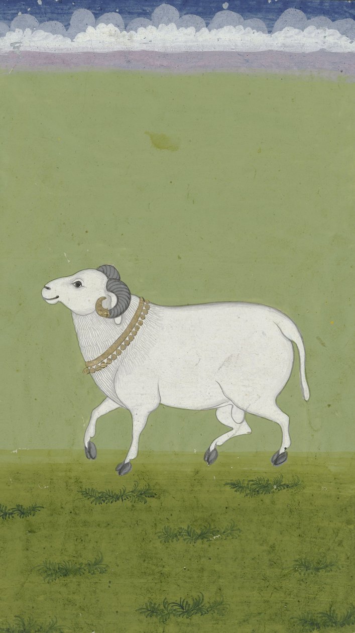 Aranygalléros kos, 1700-1799 alkotó: Indian School