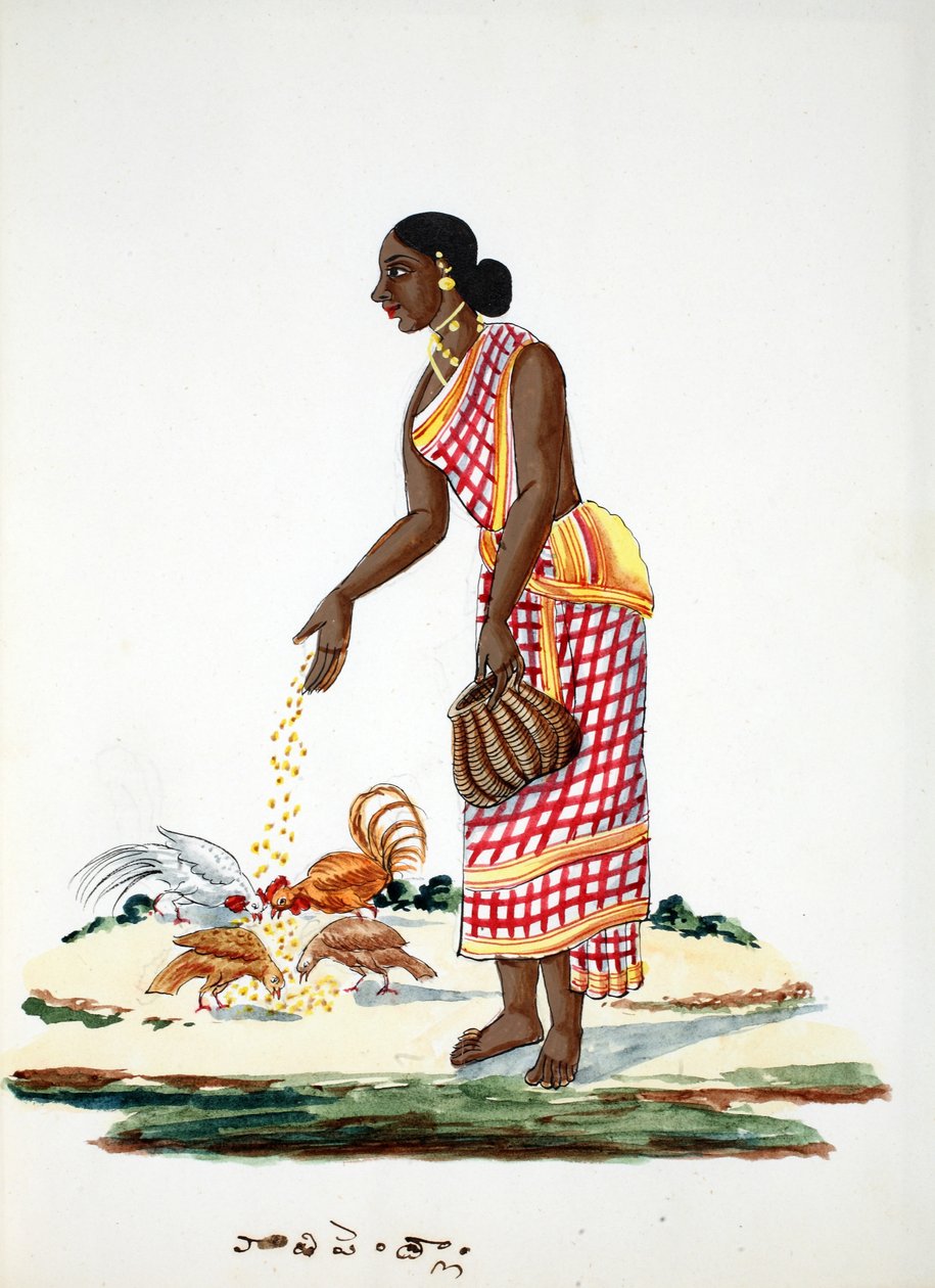Csirkéket etető nő (wc papíron) alkotó: Indian School