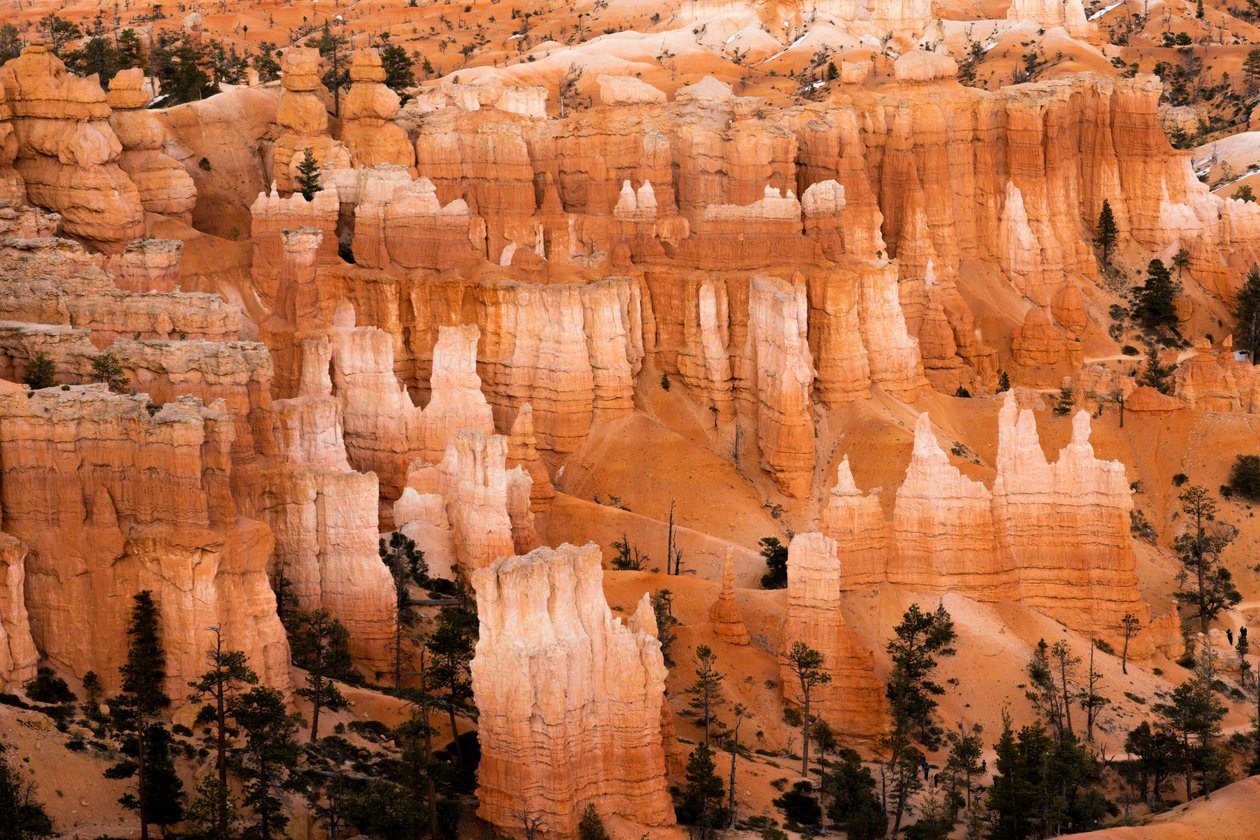 Hoodoos - erózió által létrehozott tornyok - a Bryce Canyon Nemzeti Parkban, Utah államban, 2019 (fotó) alkotó: Ira Block