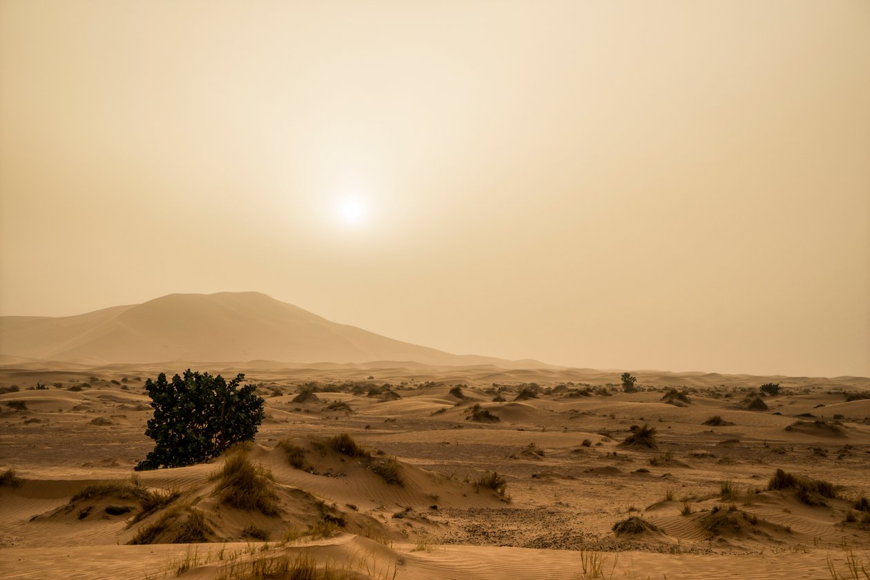 Homokdűnék a délkelet-marokkói Erg Chebbi sivatagban, 2014 (fotó) alkotó: Ira Block
