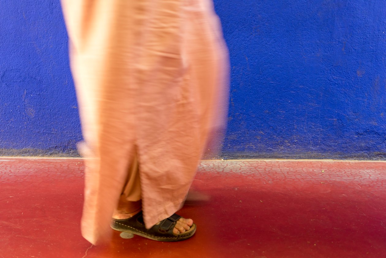 Séta egy kék fal mellett a Majorelle-kert Jardin Majorelle Marrakechben, Marokkó, 2014 (fotó) alkotó: Ira Block