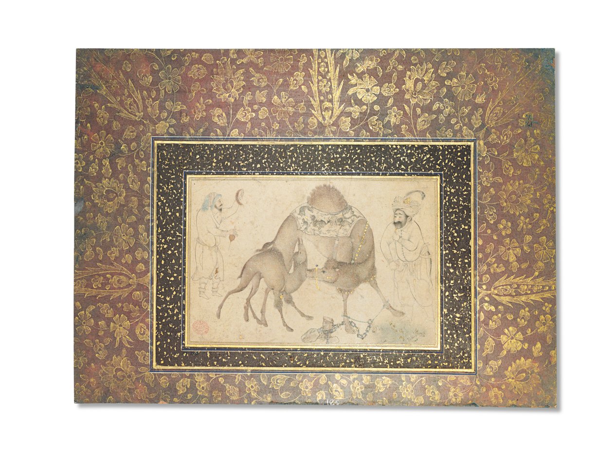 Egy teve és borja, Safavid Irán, 1650-1700 alkotó: Iranian School