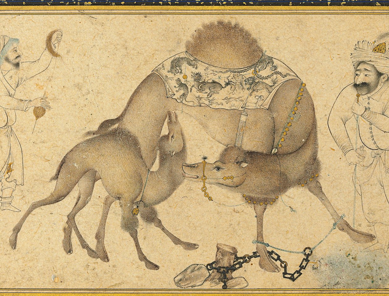 Egy teve és borja, Safavid Irán, 1650-1700 alkotó: Iranian School