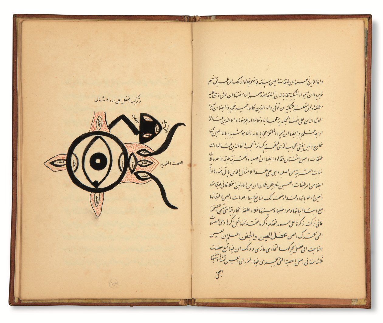 Hunayn Bin Ishaq (Kr.u. 873): Három értekezés (Maqalat) a szemészetről, Qajar, Irán, 19. század első fele (tinta, papír) alkotó: Iranian School