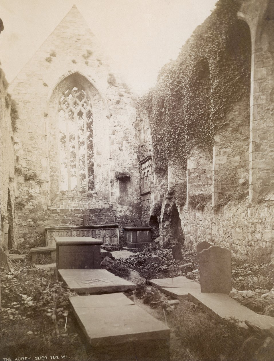 A Sligo-i apátság romjai (szépia fotó) alkotó: Irish Photographer