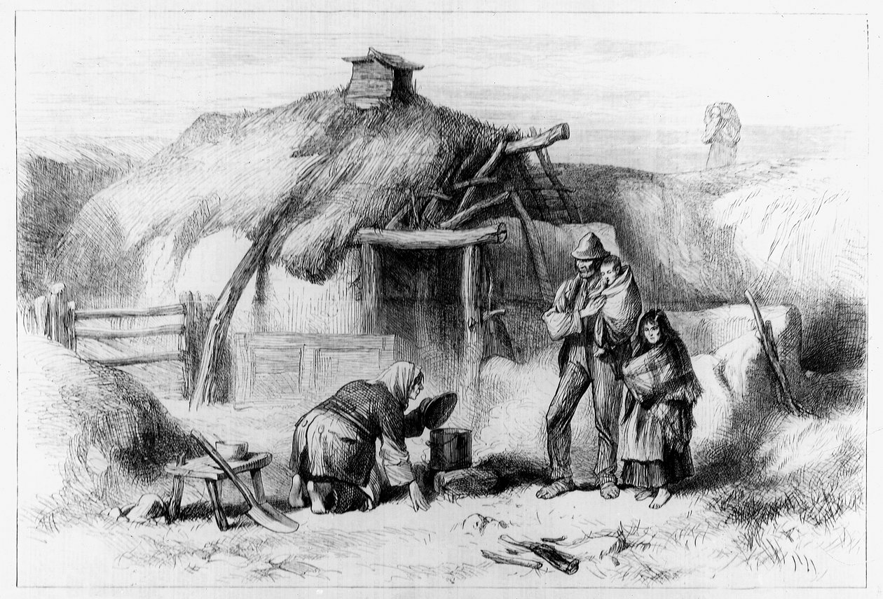 Bog-Trotters Cabin, a „The Illustrated London News”-ból, 1879 alkotó: Irish School