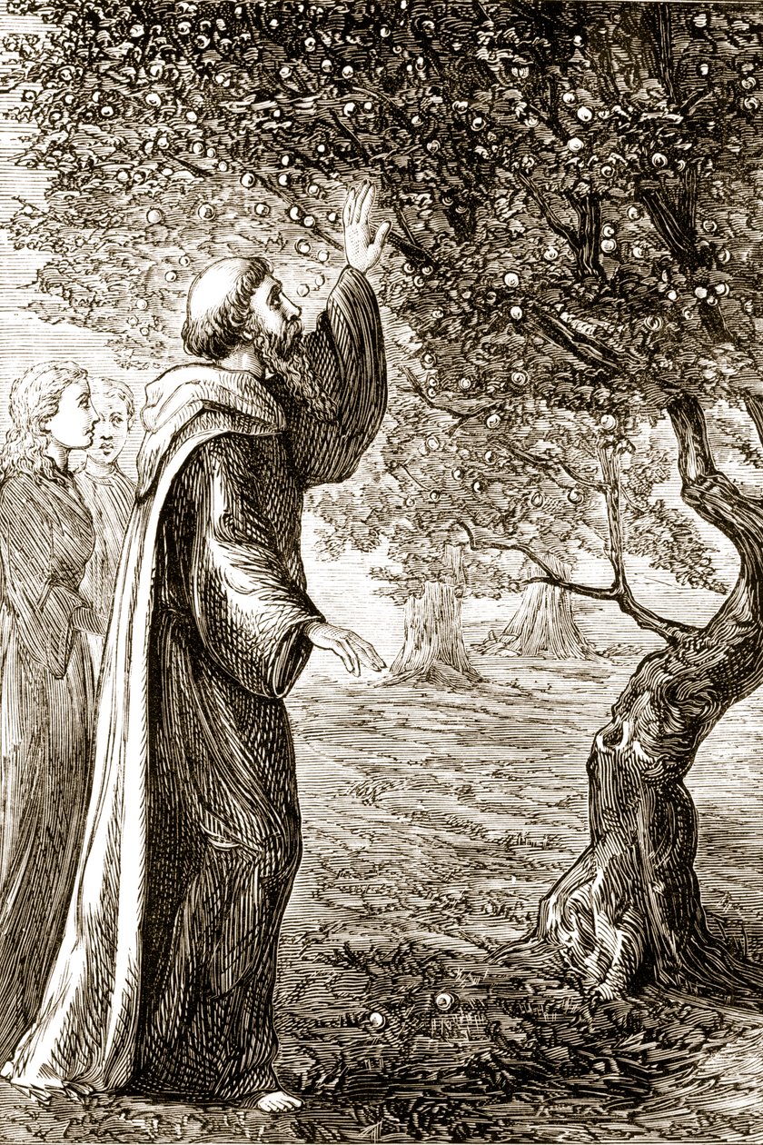 St. Columba a keserű gyümölcsöt édeské változtatja, Mary Cusack (1829-99) a Trias Thaumaturga-ból, avagy Írország három csodatevő szentjéből, amely az 1890-es években jelent meg. alkotó: Irish School