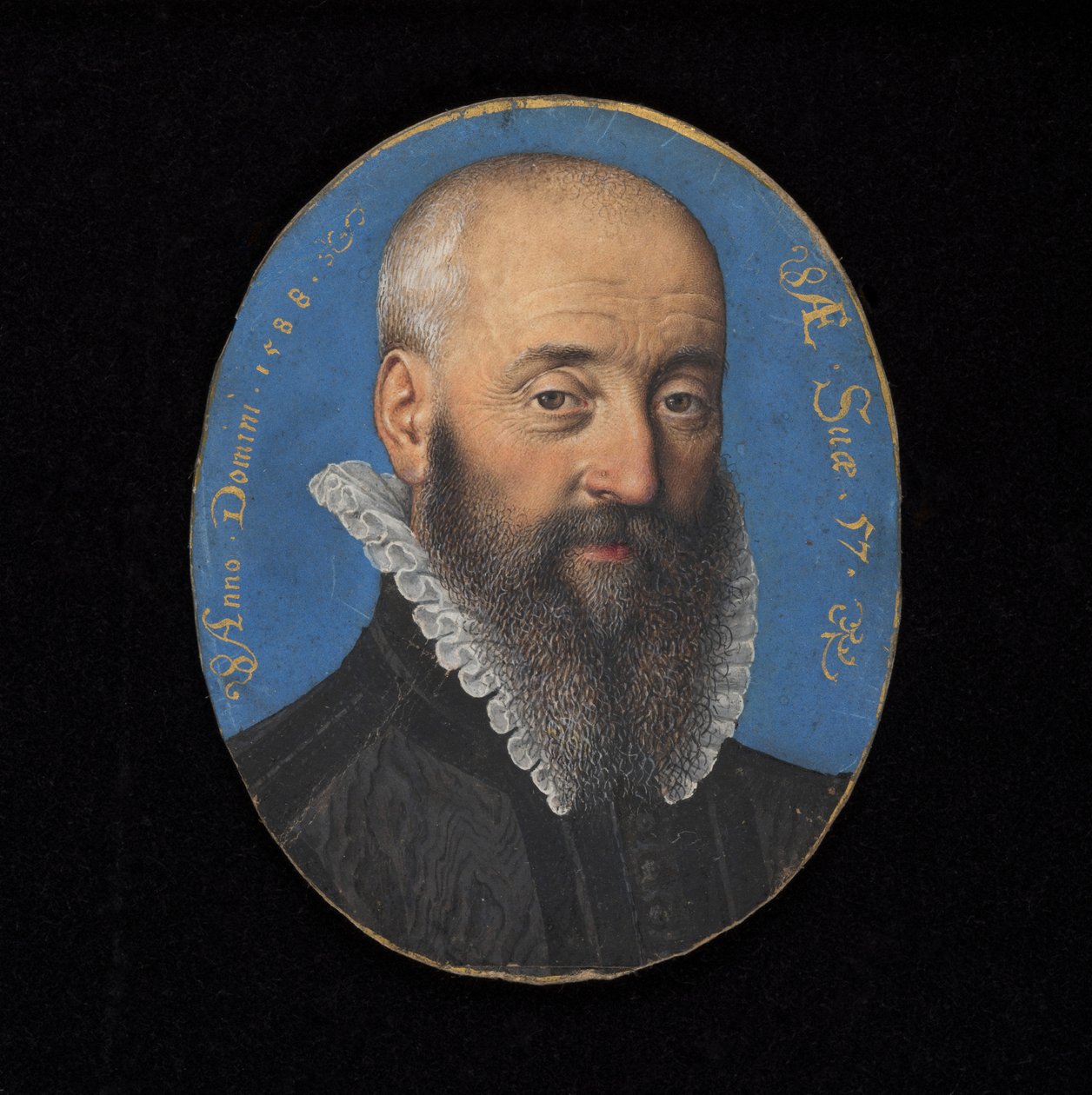 Egy ismeretlen férfi 57 éves portré miniatűrje, 1588 (wc pergamenre) alkotó: Isaac Oliver