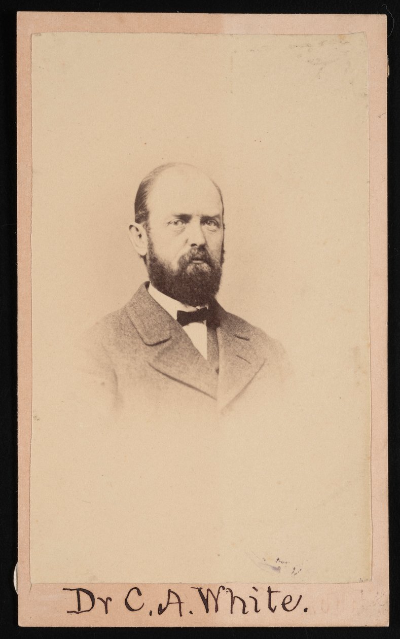 Charles Abiathar White portréja 1826-1910, 1868. alkotó: Isaac Augustus Wetherby