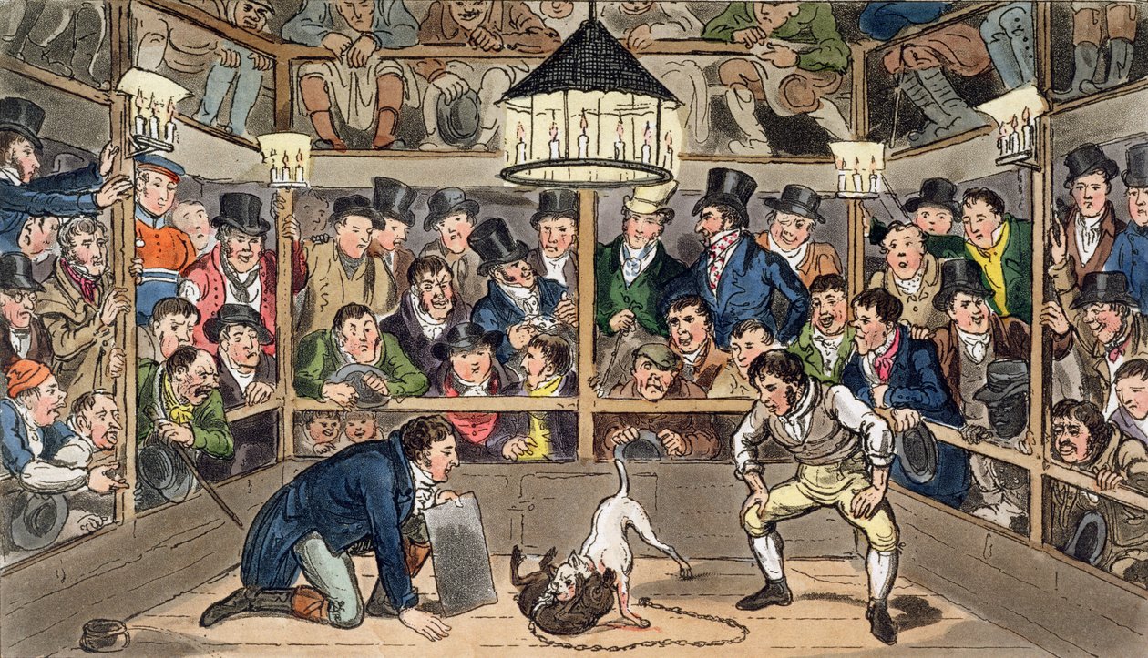 Tom és Jerry egyenesen a majom, Jacco Macacco jelenségről beszél a Westminster Pit-ben, Pierce Egan „Life in London” című művéből. alkotó: Isaac Robert & George (1792 1878) Cruikshank