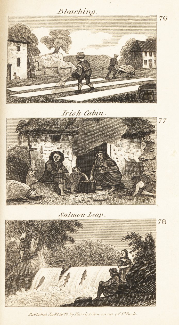 Kereskedelem a Regency Ireland-ben: fehérítés, ír kabin és lazacugrás alkotó: Isaac Taylor