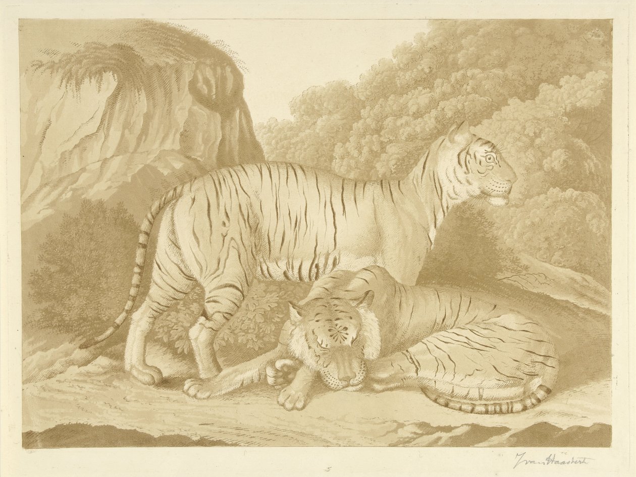 Két tigris egy tájban alkotó: Isaac van Haastert (signed by artist)
