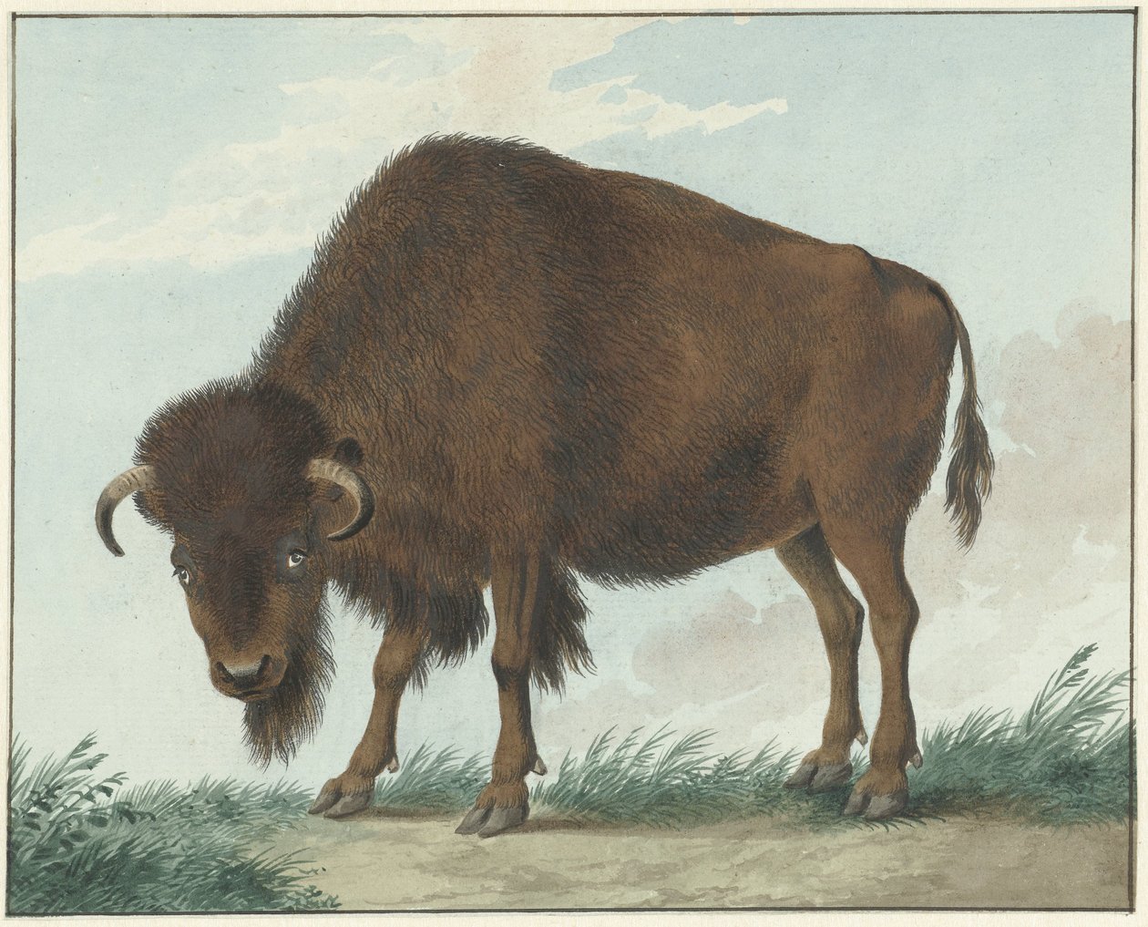 Bölény alkotó: Isaac van Haastert