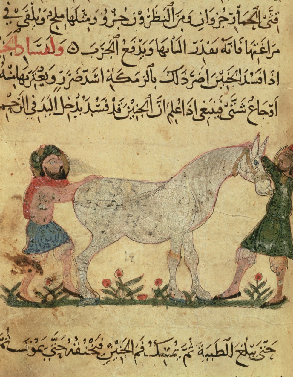 Egy állatorvos, aki segít egy kancának ellésben, illusztráció Ahmed ibn al-Husayn ibn al-Ahnaf „Pakocskakönyvéből”, 1210 alkotó: Islamic School