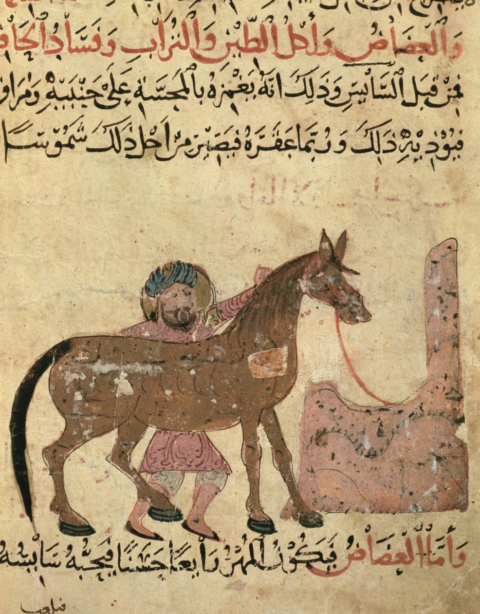 A ló gondozása, illusztráció Ahmed ibn al-Husayn ibn al-Ahnaf „Pakocskakönyvéből”, 1210 alkotó: Islamic School