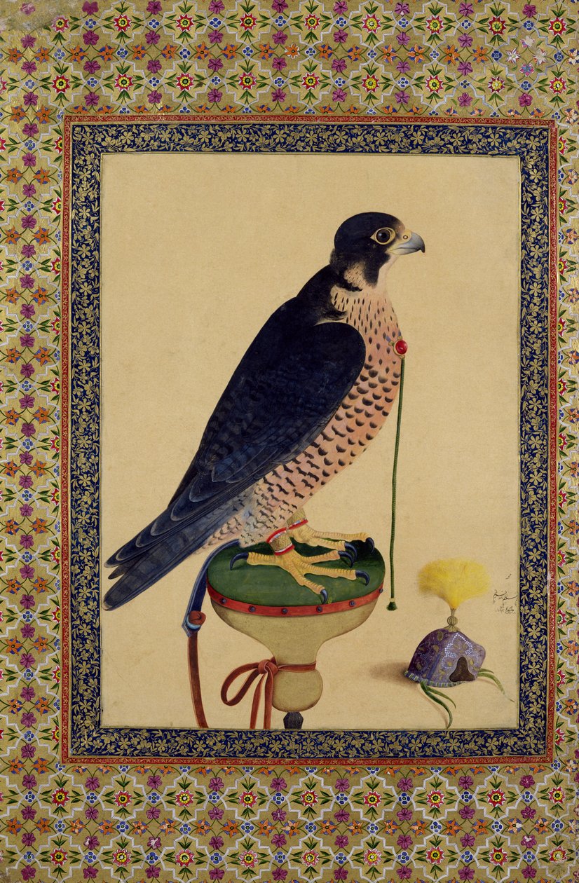 Ms E-14 Falcon, egy Moraqqa-ból alkotó: Islamic School