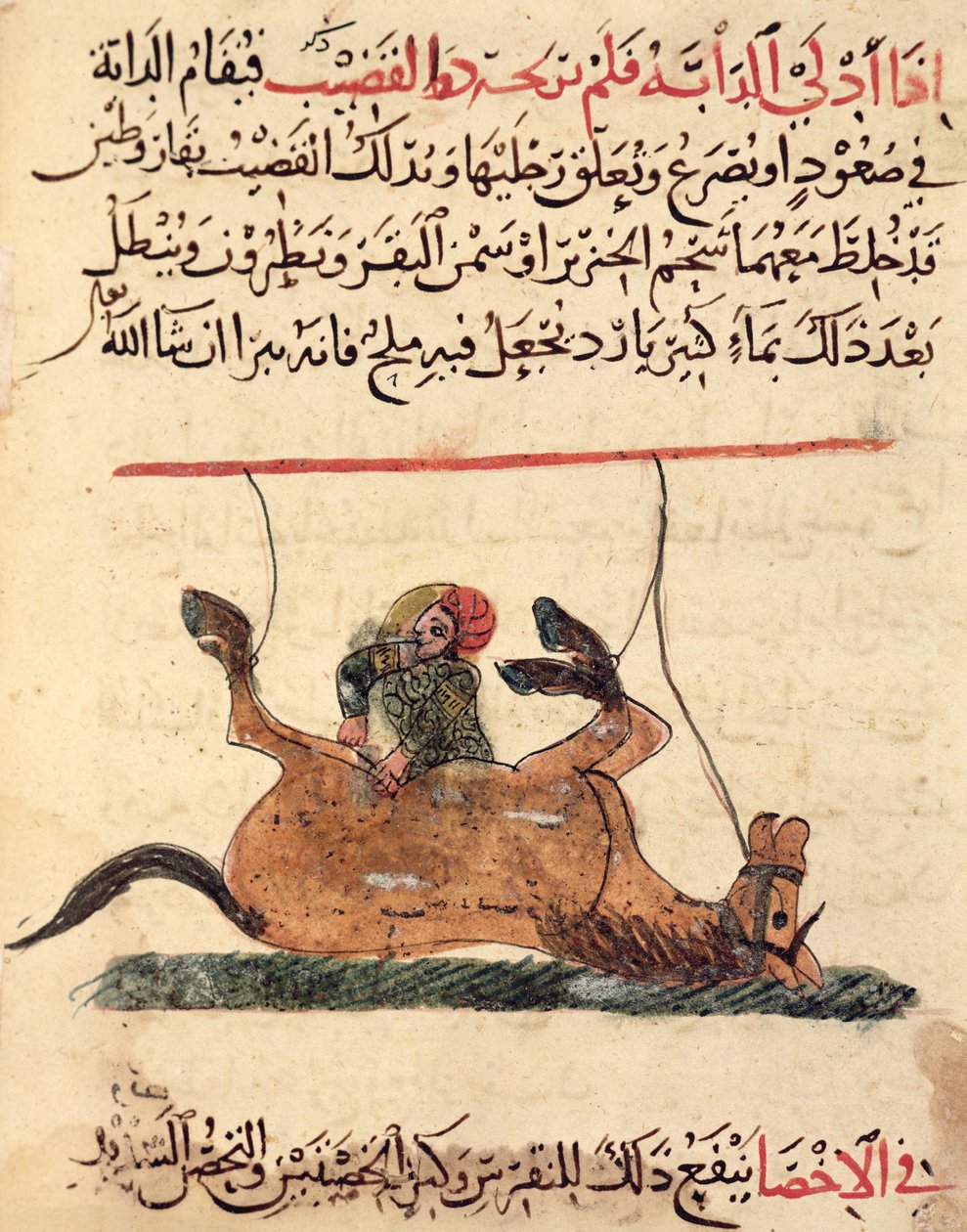 Művelet lovon, illusztráció Ahmed ibn al-Husayn ibn al-Ahnaf „Pakocskakönyvéből”, 1210 alkotó: Islamic School