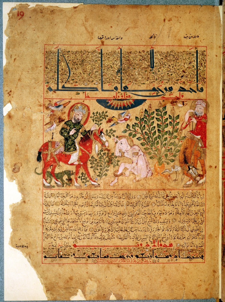 Ms. Arabe 2964 fol.19 The Doctor Anoromachus, aki meggyógyította bátyját, akit egy kígyó megmart, Theriac traktátusából Galien után, 1217 alkotó: Islamic School