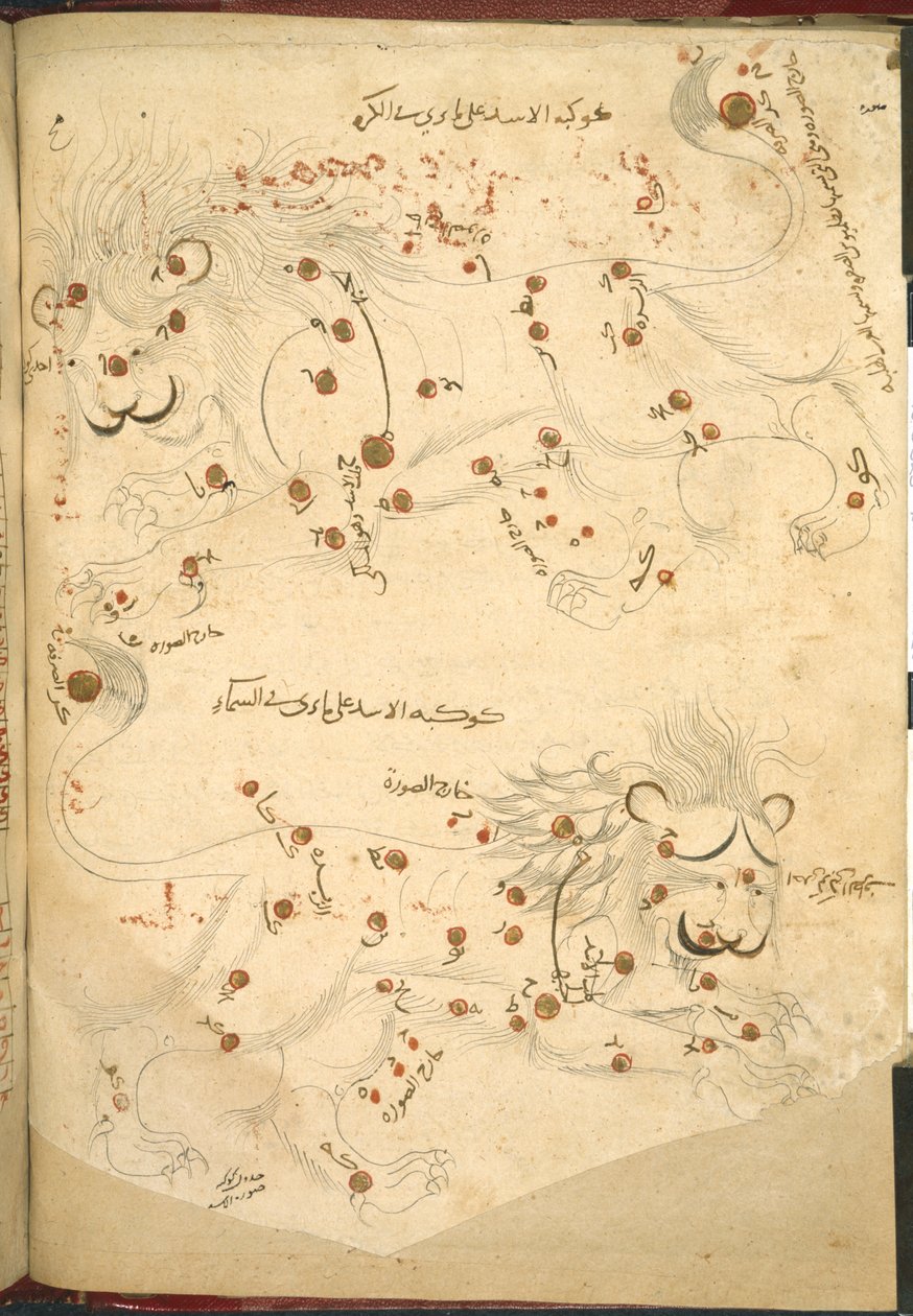 Vagy 5323 f.45v Két oroszlán, illusztráció az „Állított csillagok leírása” című művéből, Abd al-Rahman al-Sufi (tinta és színes papíron) alkotó: Islamic School