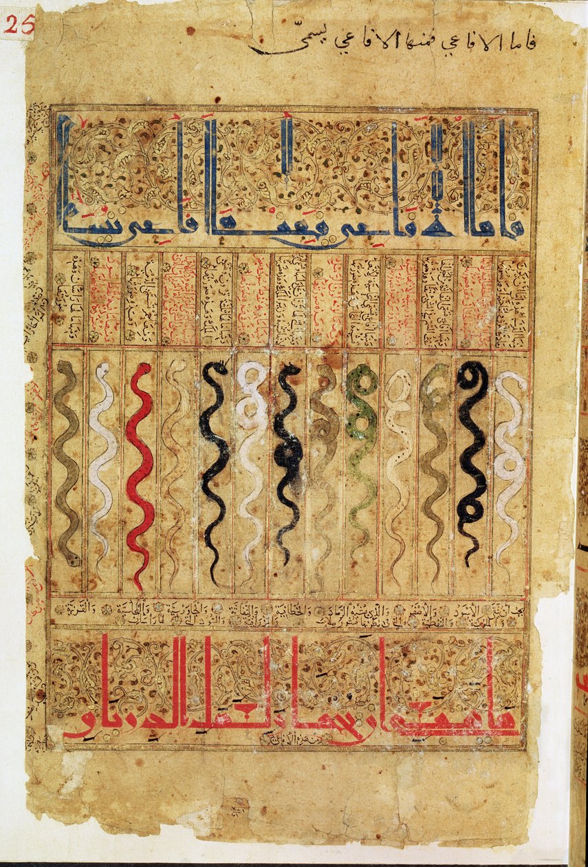 Theriac traktátus Galien után, 1217 alkotó: Islamic School