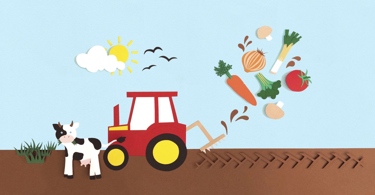 Farmyard, 2016 papír alkotó: Isobel Barber