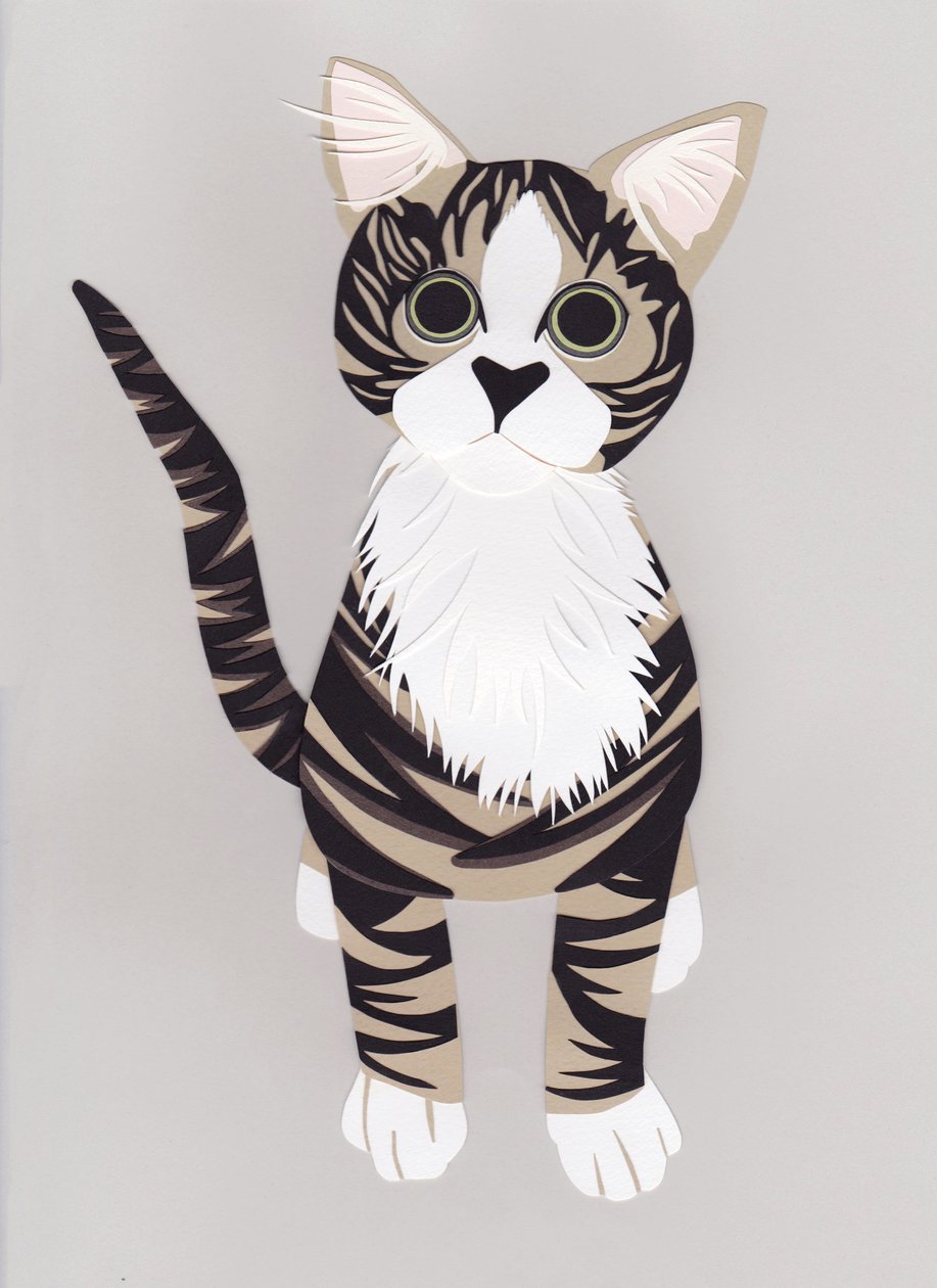Pussycat, 2016 (papír) alkotó: Isobel Barber