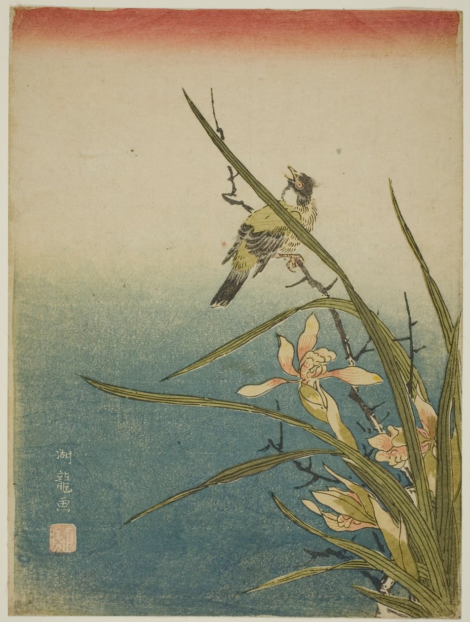 Orchidea és madár alkotó: Isoda Koryusai