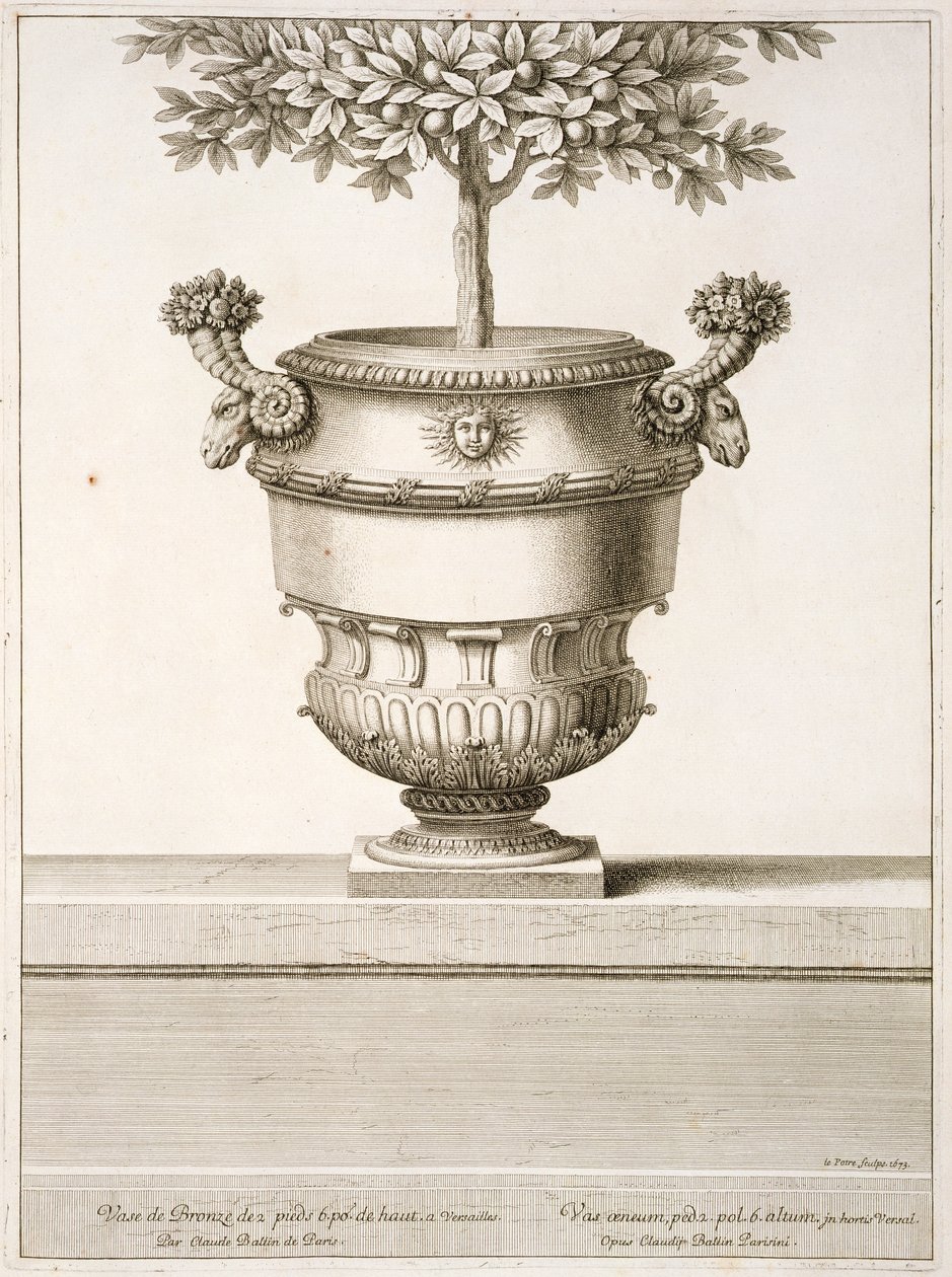 Citrusfákhoz használt bronz urnák, illusztráció a „Versailles nézetei és tervei”, Párizs, 1664-89 körül (metszet) alkotó: Israel the Younger (after) Silvestre
