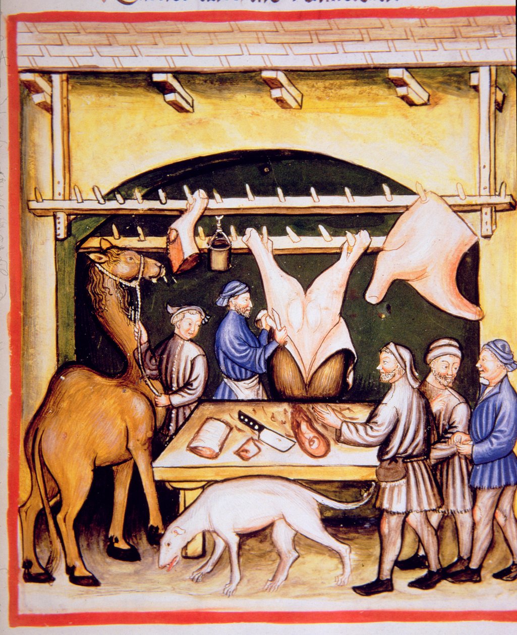 Fol.74r A hentesek: Tehenek és tevék húsa, illusztráció a Tacuinum Sanitatis Codex Vindobonensisből alkotó: Italian School