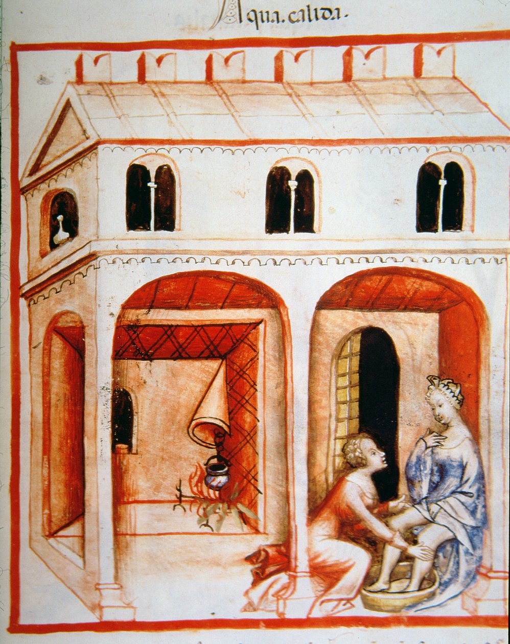 Fol.89r forró víz, illusztráció a Tacuinum Santiatis Codex Vindobonensisből alkotó: Italian School