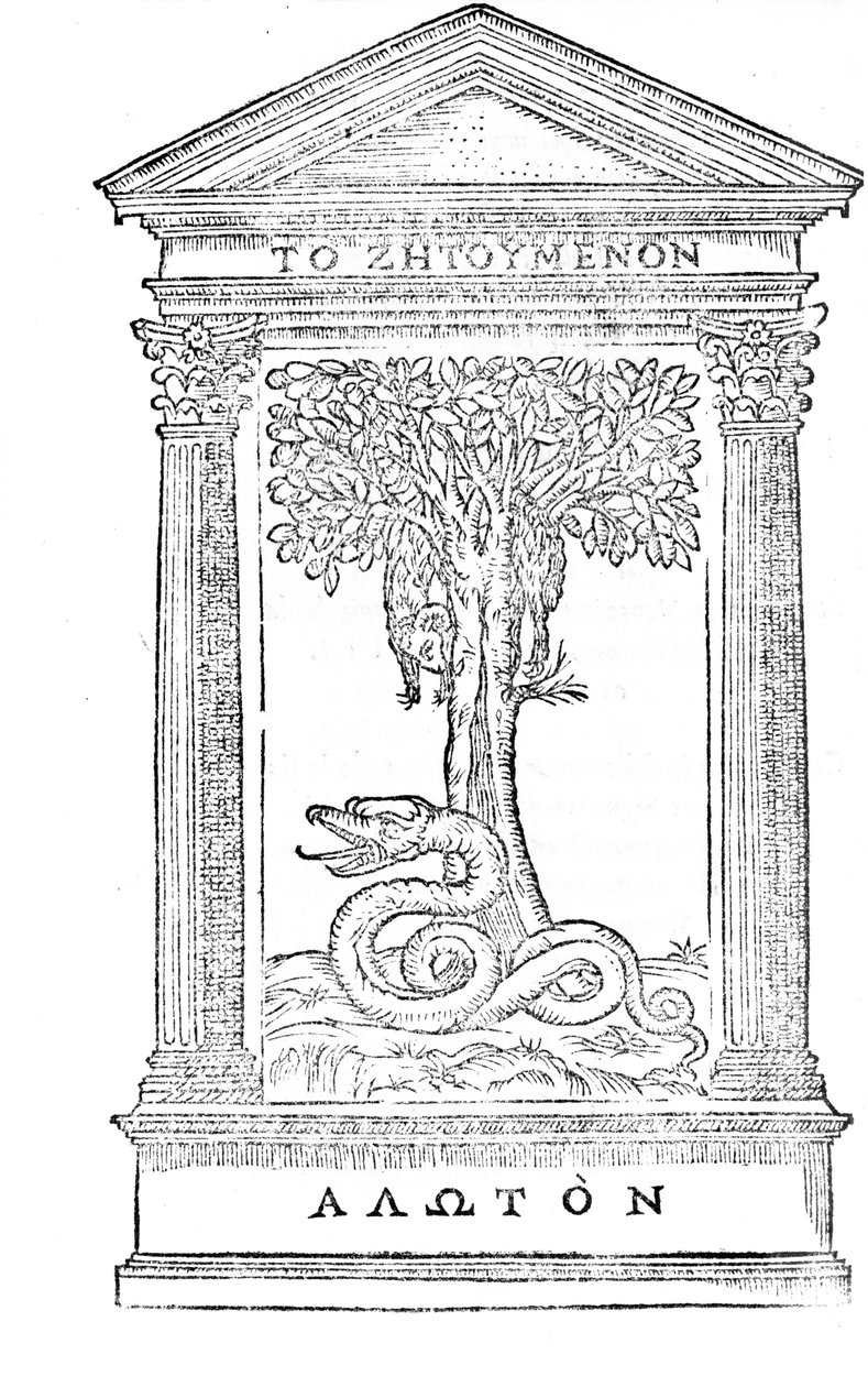 Illusztráció Gian Giorgio Trissino 1548-ban megjelent „La Italia Liberata Da