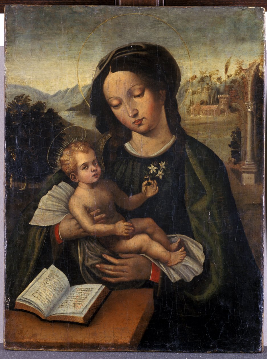 Madonna és gyermek (mérséklet a fán) alkotó: Italian School