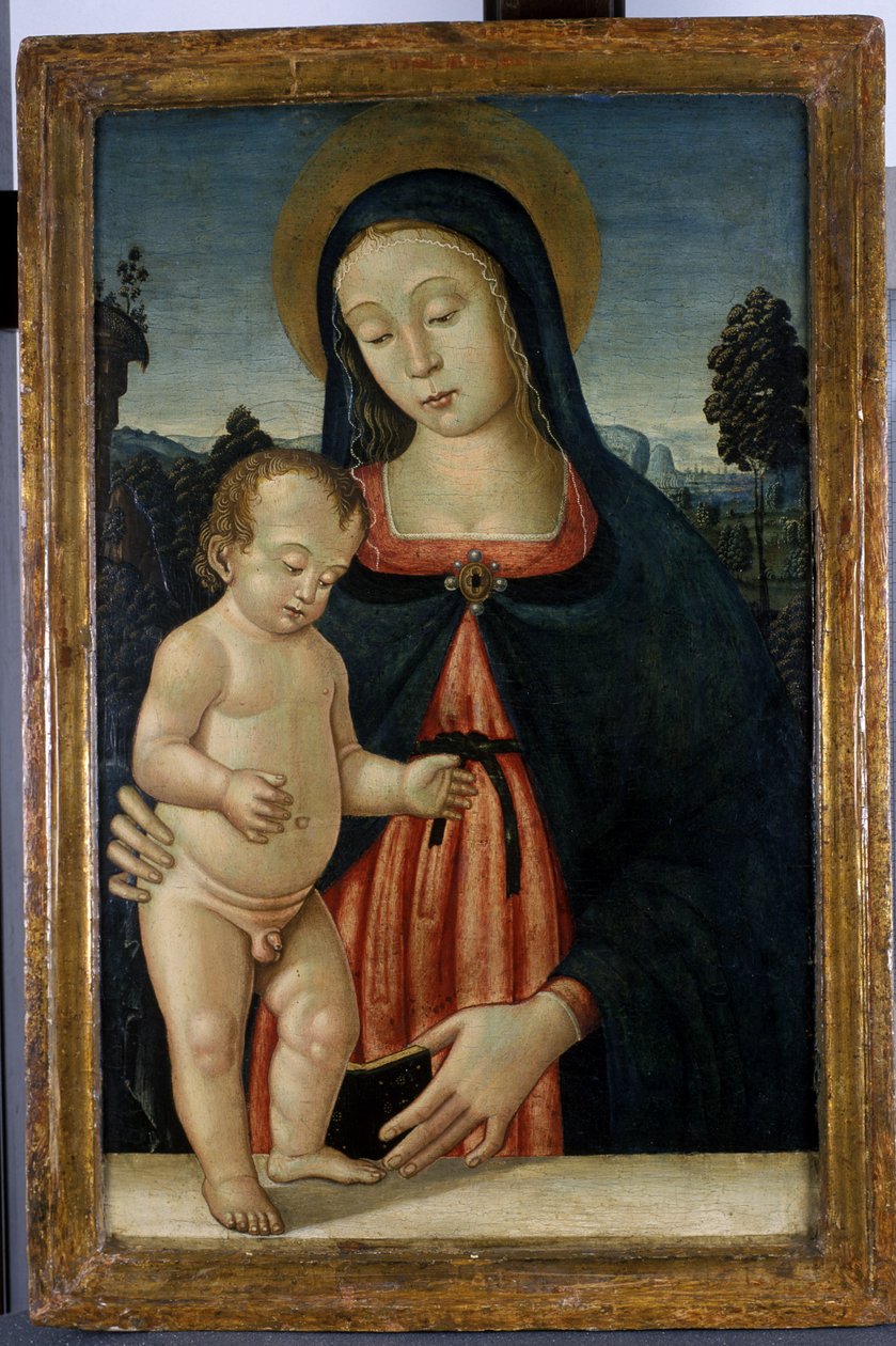 Madonna és gyermek, 1500 körül (tempera nyárfán) alkotó: Italian School