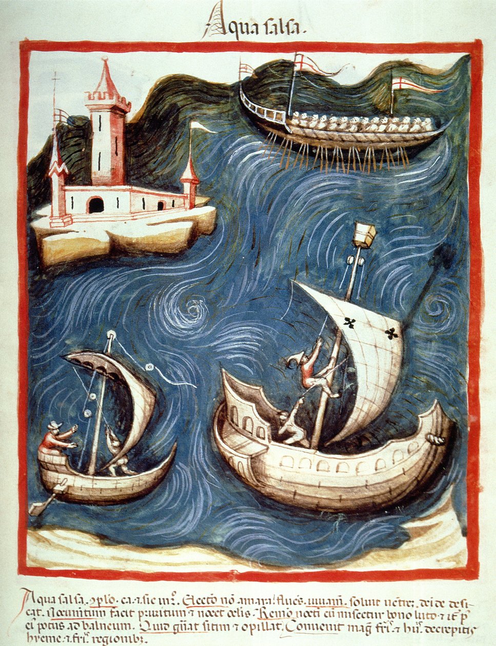 Nova 2644 f.88r Hajók a tengeren, illusztráció a Tacuinum Santiatis Codex Vindobonensisből alkotó: Italian School