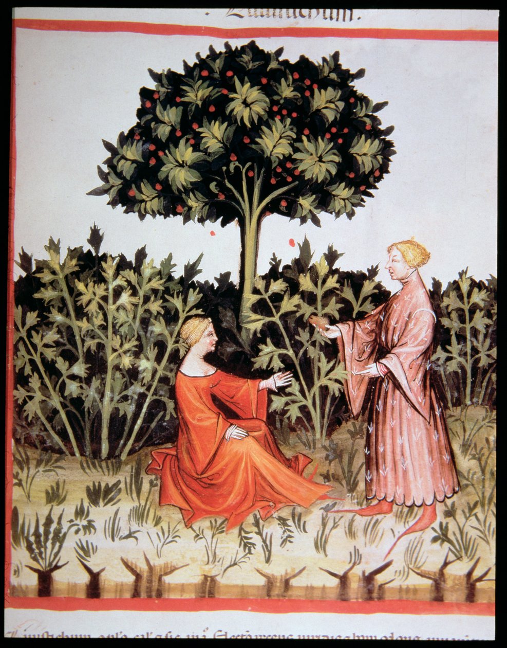 Nova 2644 fol. 36r Zeller gyűjtése, a Tacuinum Sanitatis Code Vindobonensisből alkotó: Italian School