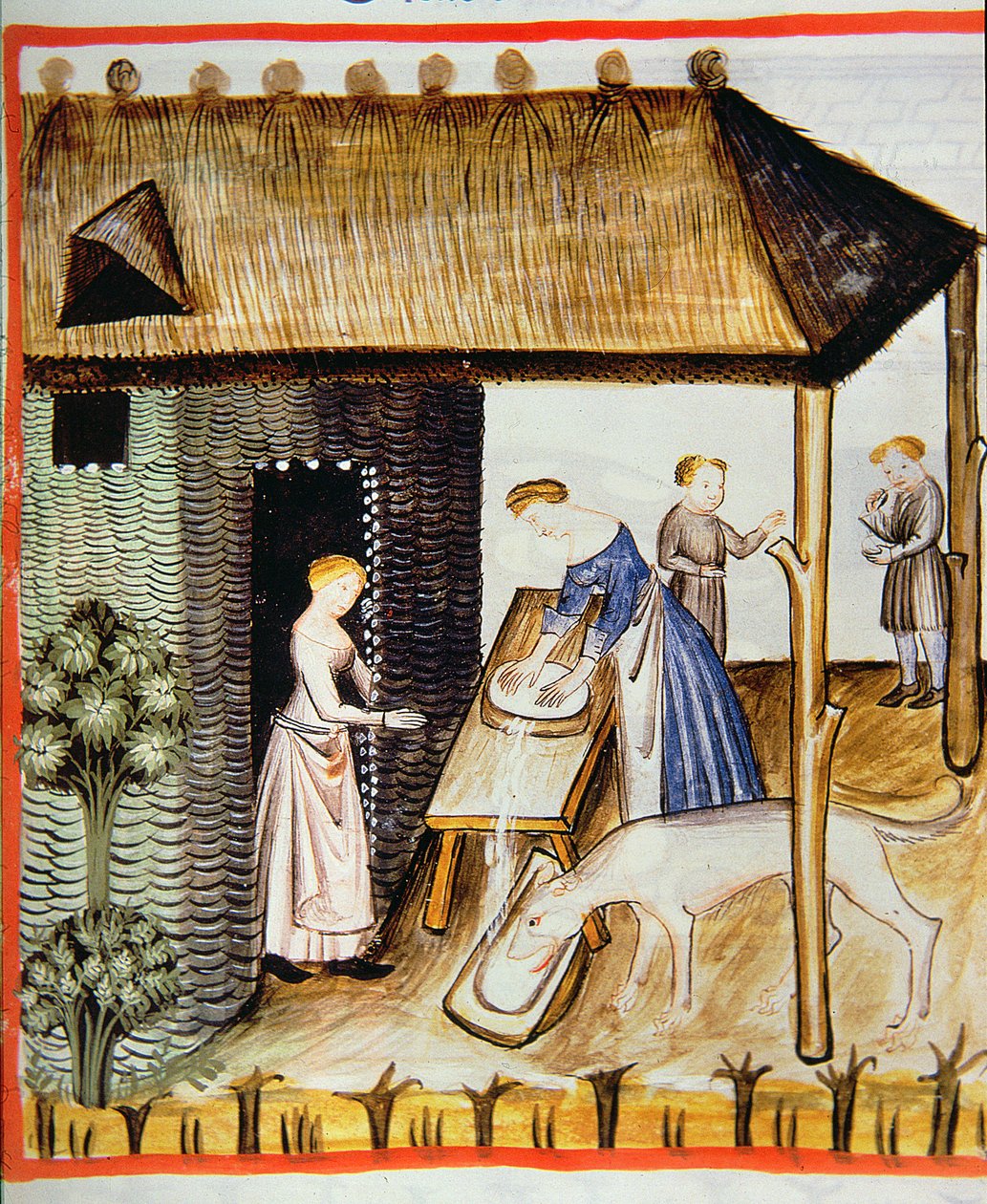 Nova 2644 fol.60r Friss sajt készítése, Tacuinum Sanitatisból alkotó: Italian School