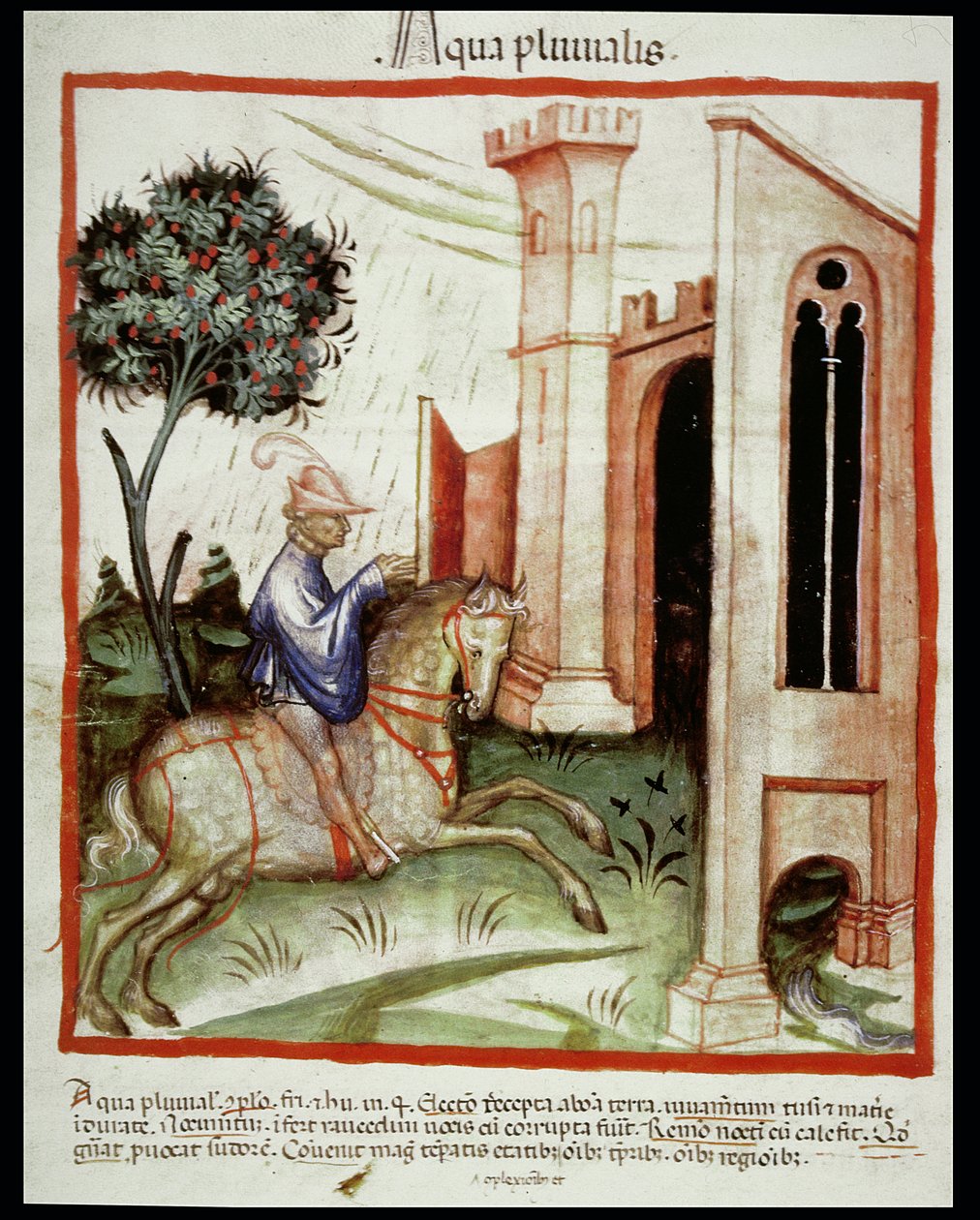 Nova 2644 fol.89v Rainwater, a Tacuinum Sanitatis cégtől alkotó: Italian School