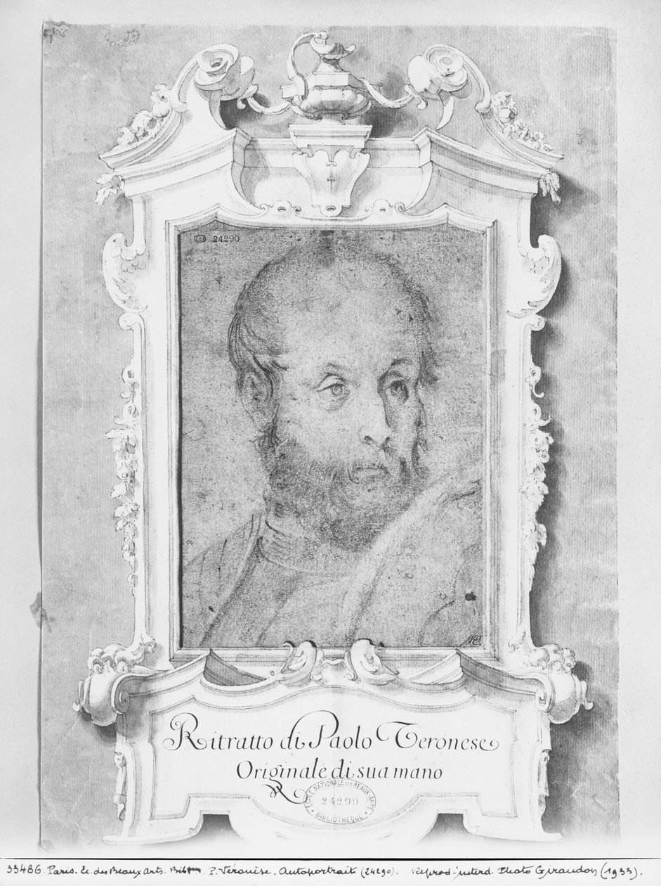Veronese-nak (Paolo Caliari) feltételezett férfi portréja (pierre noire kékes papíron) alkotó: Italian School