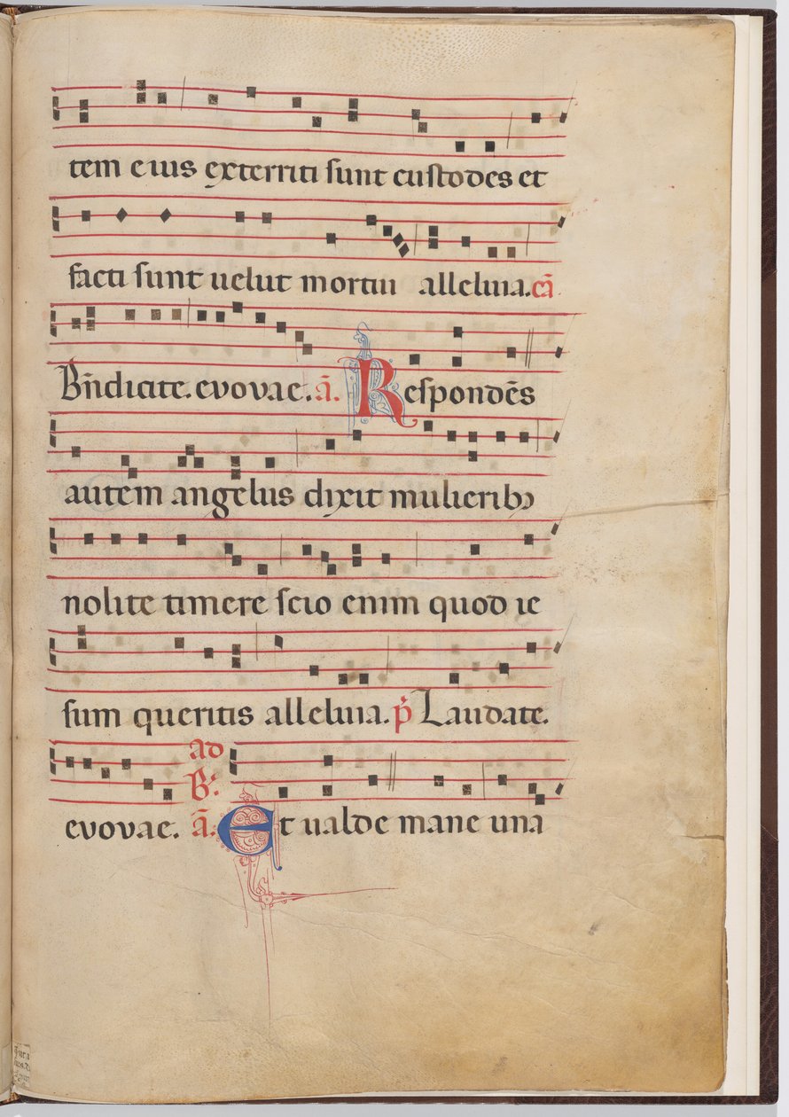 4. levél antifonális töredékből alkotó: Italian 13th Century