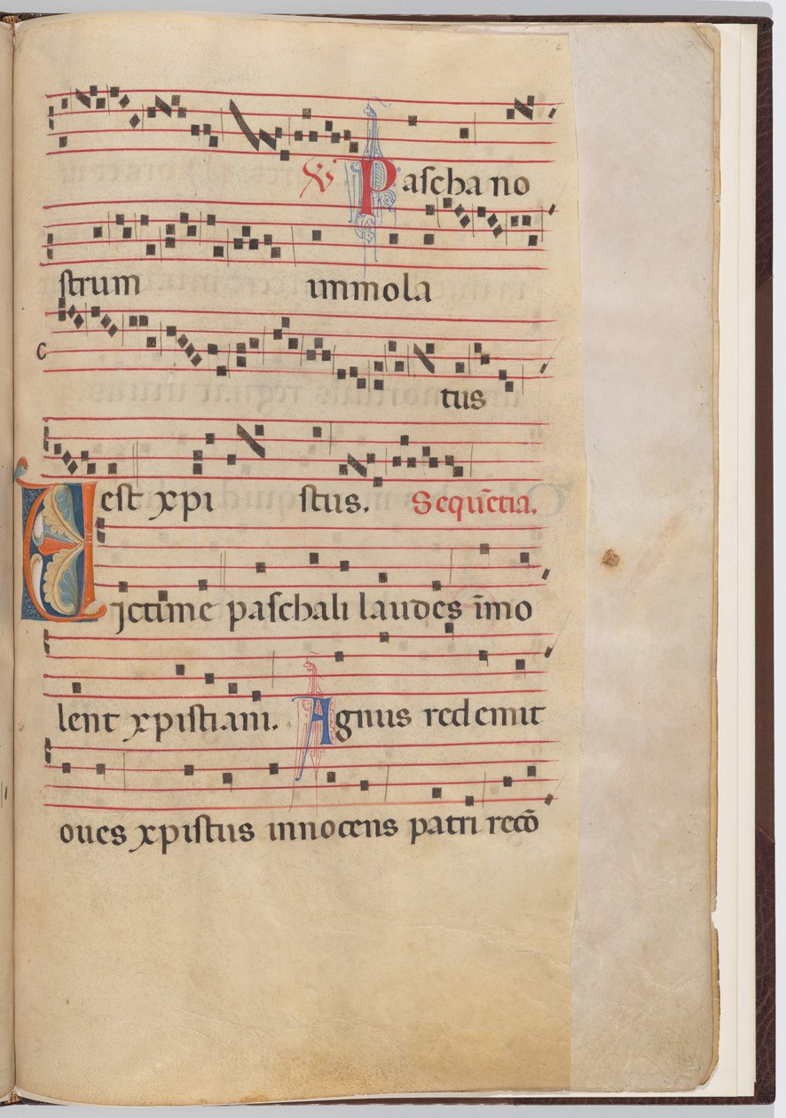 6. levél antifonális töredékből alkotó: Italian 13th Century