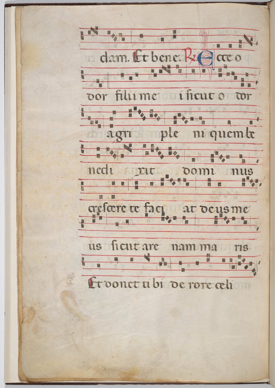 8. levél egy antifonális töredékből (fordítva) alkotó: Italian 13th Century